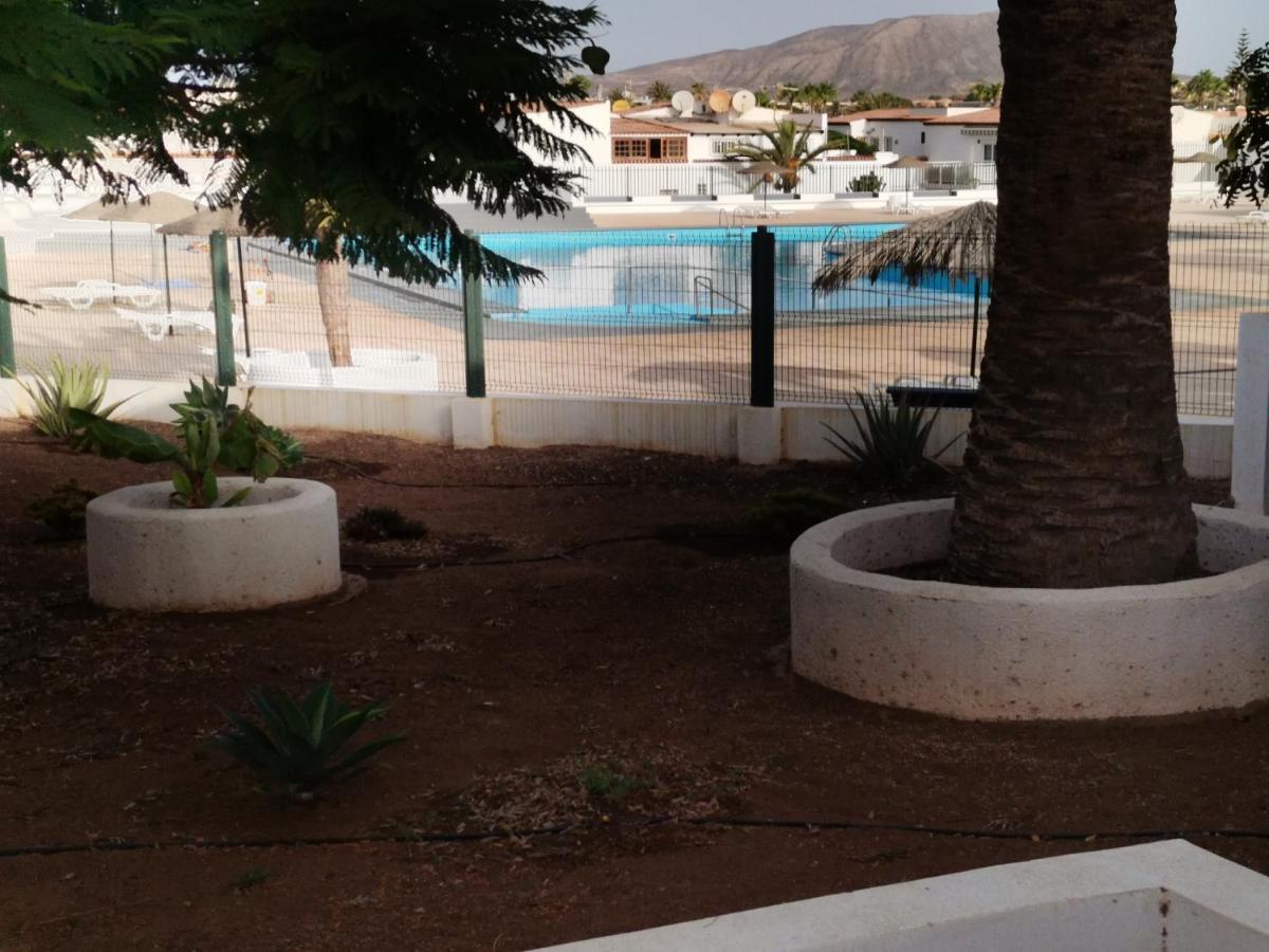 Casa Ramona Daire Costa Del Silencio Dış mekan fotoğraf