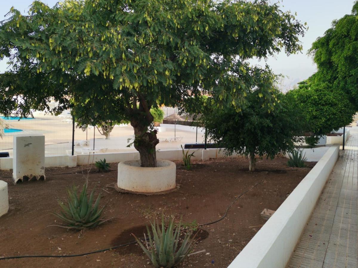Casa Ramona Daire Costa Del Silencio Dış mekan fotoğraf